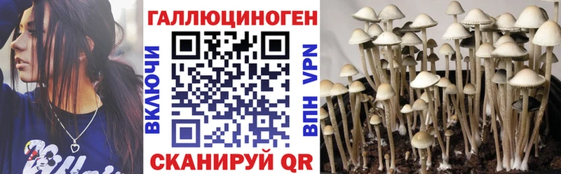 закладки  Алзамай  Псилоцибиновые грибы ЛСД 